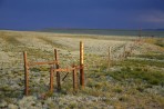 fence, prairie, Colorado, Crested Butte